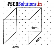 PSEB 7th Class Maths Solutions Chapter 15 ਠੋਸ ਆਕਾਰ ਦੀ ਕਲਪਨਾ Ex 15.2 6