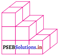 PSEB 7th Class Maths Solutions Chapter 15 ਠੋਸ ਆਕਾਰ ਦੀ ਕਲਪਨਾ Ex 15.3 10