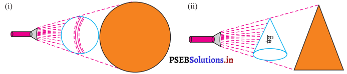 PSEB 7th Class Maths Solutions Chapter 15 ਠੋਸ ਆਕਾਰ ਦੀ ਕਲਪਨਾ Ex 15.3 6