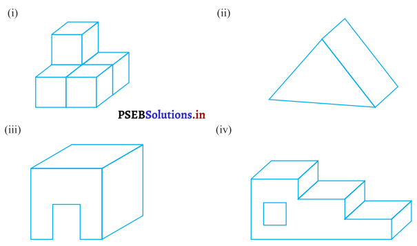 PSEB 7th Class Maths Solutions Chapter 15 ਠੋਸ ਆਕਾਰ ਦੀ ਕਲਪਨਾ Ex 15.3 8