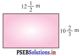 PSEB 7th Class Maths Solutions Chapter 2 ਭਿੰਨਾਂ ਅਤੇ ਦਸ਼ਮਲਵ Ex 2.1 8