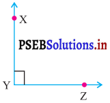 PSEB 7th Class Maths Solutions Chapter 5 ਰੇਖਾਵਾਂ ਅਤੇ ਕੋਣ Ex 5.1 1