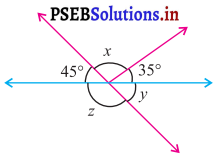 PSEB 7th Class Maths Solutions Chapter 5 ਰੇਖਾਵਾਂ ਅਤੇ ਕੋਣ Ex 5.1 11