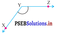 PSEB 7th Class Maths Solutions Chapter 5 ਰੇਖਾਵਾਂ ਅਤੇ ਕੋਣ Ex 5.1 5