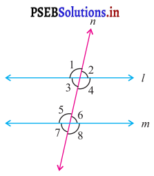 PSEB 7th Class Maths Solutions Chapter 5 ਰੇਖਾਵਾਂ ਅਤੇ ਕੋਣ Ex 5.2 1