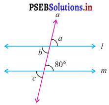 PSEB 7th Class Maths Solutions Chapter 5 ਰੇਖਾਵਾਂ ਅਤੇ ਕੋਣ Ex 5.2 3