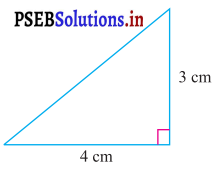 PSEB 7th Class Maths Solutions Chapter 6 ਤ੍ਰਿਭੁਜਾਂ Ex 6.3 1