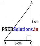 PSEB 7th Class Maths Solutions Chapter 6 ਤ੍ਰਿਭੁਜਾਂ Ex 6.3 10