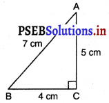PSEB 7th Class Maths Solutions Chapter 6 ਤ੍ਰਿਭੁਜਾਂ Ex 6.3 3