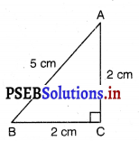 PSEB 7th Class Maths Solutions Chapter 6 ਤ੍ਰਿਭੁਜਾਂ Ex 6.3 5