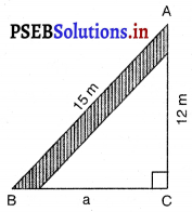 PSEB 7th Class Maths Solutions Chapter 6 ਤ੍ਰਿਭੁਜਾਂ Ex 6.3 7