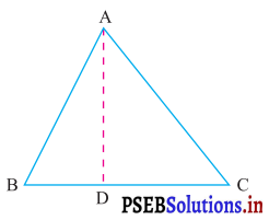 PSEB 7th Class Maths Solutions Chapter 6 ਤ੍ਰਿਭੁਜਾਂ Ex 6.4 3