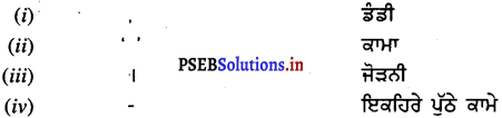 PSEB 7th Class Punjabi Solutions Chapter 21 ਪੁਲਾੜ ਪਰੀ ਸੁਨੀਤਾ ਵਿਲੀਅਮਜ਼ 1