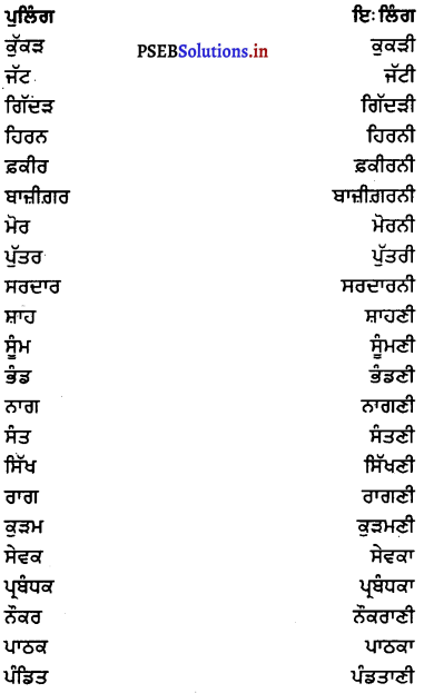 PSEB 7th Class Punjabi Vyakaran ਲਿੰਗ (1st Language) 1