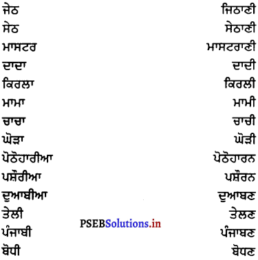 PSEB 7th Class Punjabi Vyakaran ਲਿੰਗ (1st Language) 2