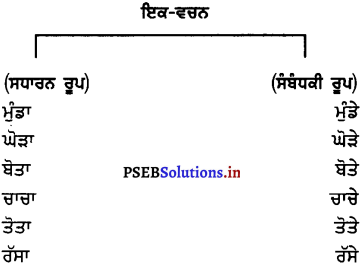 PSEB 7th Class Punjabi Vyakaran ਵਚਨ (1st Language) 1