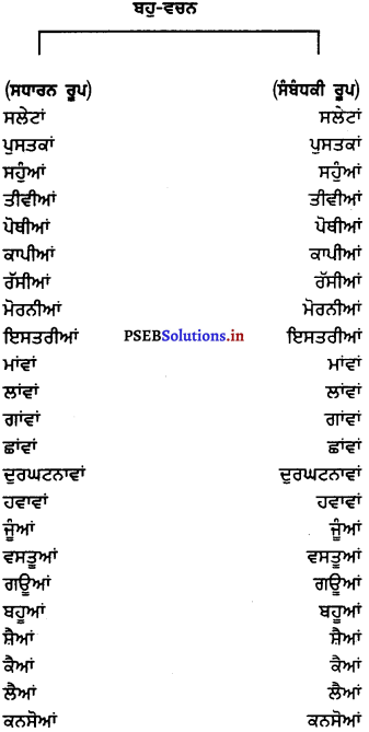 PSEB 7th Class Punjabi Vyakaran ਵਚਨ (1st Language) 10.