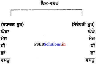 PSEB 7th Class Punjabi Vyakaran ਵਚਨ (1st Language) 11