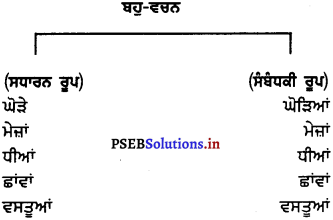 PSEB 7th Class Punjabi Vyakaran ਵਚਨ (1st Language) 12