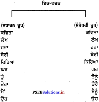PSEB 7th Class Punjabi Vyakaran ਵਚਨ (1st Language) 13