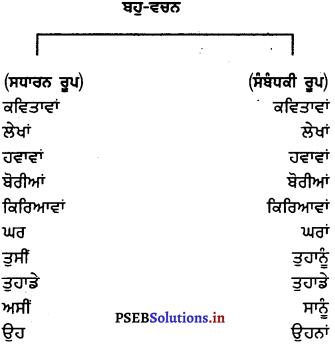 PSEB 7th Class Punjabi Vyakaran ਵਚਨ (1st Language) 14