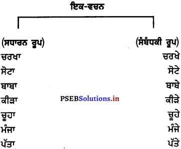 PSEB 7th Class Punjabi Vyakaran ਵਚਨ (1st Language) 3