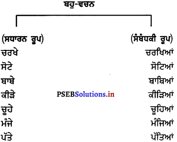 PSEB 7th Class Punjabi Vyakaran ਵਚਨ (1st Language) 4