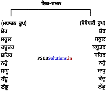PSEB 7th Class Punjabi Vyakaran ਵਚਨ (1st Language) 5