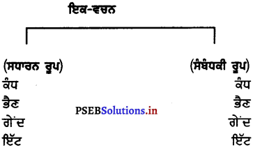 PSEB 7th Class Punjabi Vyakaran ਵਚਨ (1st Language) 7