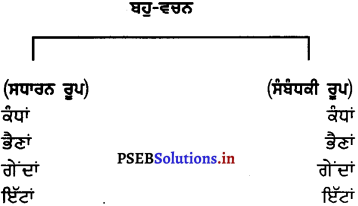 PSEB 7th Class Punjabi Vyakaran ਵਚਨ (1st Language) 8