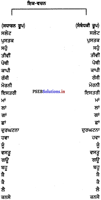 PSEB 7th Class Punjabi Vyakaran ਵਚਨ (1st Language) 9