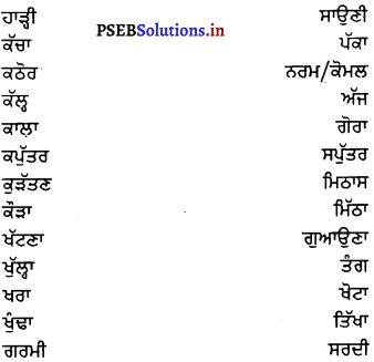 PSEB 7th Class Punjabi Vyakaran ਵਿਰੋਧਾਰਥਕ ਸ਼ਬਦ (1st Language) 4