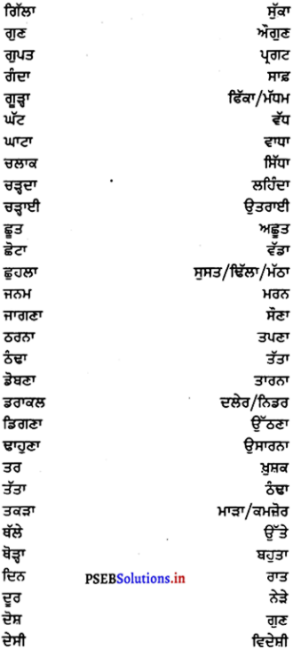 PSEB 7th Class Punjabi Vyakaran ਵਿਰੋਧਾਰਥਕ ਸ਼ਬਦ (1st Language) 5