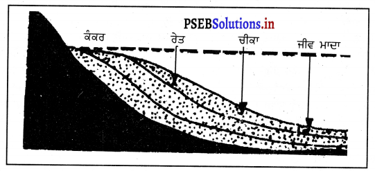 PSEB 7th Class Social Science Solutions Chapter 2 ਧਰਤੀ ਦਾ ਅੰਦਰੂਨੀ ਅਤੇ ਬਾਹਰਲਾ ਰੂਪ 1