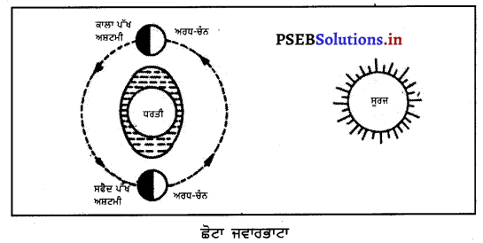 PSEB 7th Class Social Science Solutions Chapter 4 ਮਹਾਂਸਾਗਰ 7