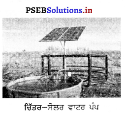 PSEB 8th Class Agriculture Solutions Chapter 4 ਸੂਰਜੀ ਊਰਜਾ 3