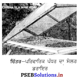 PSEB 8th Class Agriculture Solutions Chapter 4 ਸੂਰਜੀ ਊਰਜਾ 5