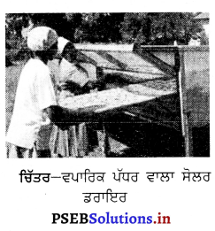 PSEB 8th Class Agriculture Solutions Chapter 4 ਸੂਰਜੀ ਊਰਜਾ 6