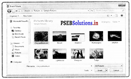 PSEB 8th Class Computer Notes Chapter 4 ਮਾਈਕਰੋਸਾਫਟ ਪਾਵਰਪੁਆਇੰਟ (ਭਾਗ-1 ...