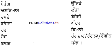 PSEB 8th Class Punjabi Solutions Chapter 10 ਹਰਿਆਵਲ ਦੇ ਬੀਜ 1