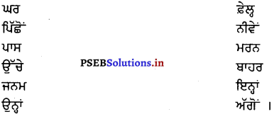 PSEB 8th Class Punjabi Solutions Chapter 12 ਪੰਜਾਬ ਦਾ ਸੁਪਨਸਾਜ਼ ਡਾ. ਮਹਿੰਦਰ ਸਿੰਘ ਰੰਧਾਵਾ 3