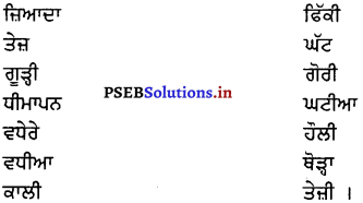 PSEB 8th Class Punjabi Solutions Chapter 18 ਹਾਕੀ ਦਾ ਜਾਦੂਗਰ ਧਿਆਨ ਚੰਦ 7