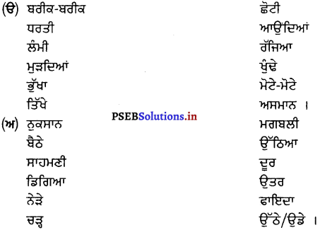 PSEB 8th Class Punjabi Solutions Chapter 20 ਛੱਲੀਆਂ ਦੇ ਰਾਖੇ 3