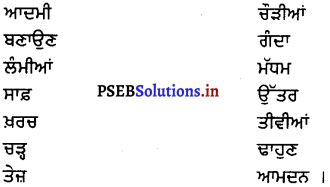 PSEB 8th Class Punjabi Solutions Chapter 25 ਰੱਬ ਦੀ ਪੌੜੀ 3