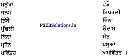 PSEB 8th Class Punjabi Solutions Chapter 8 ਬਾਬਾ ਫ਼ਰੀਦ 1