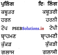 PSEB 8th Class Punjabi Vyakaran ਲਿੰਗ (1st Language) 1