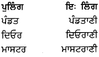 PSEB 8th Class Punjabi Vyakaran ਲਿੰਗ (1st Language) 13