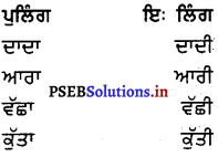PSEB 8th Class Punjabi Vyakaran ਲਿੰਗ (1st Language) 16