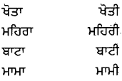 PSEB 8th Class Punjabi Vyakaran ਲਿੰਗ (1st Language) 17