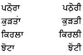 PSEB 8th Class Punjabi Vyakaran ਲਿੰਗ (1st Language) 18